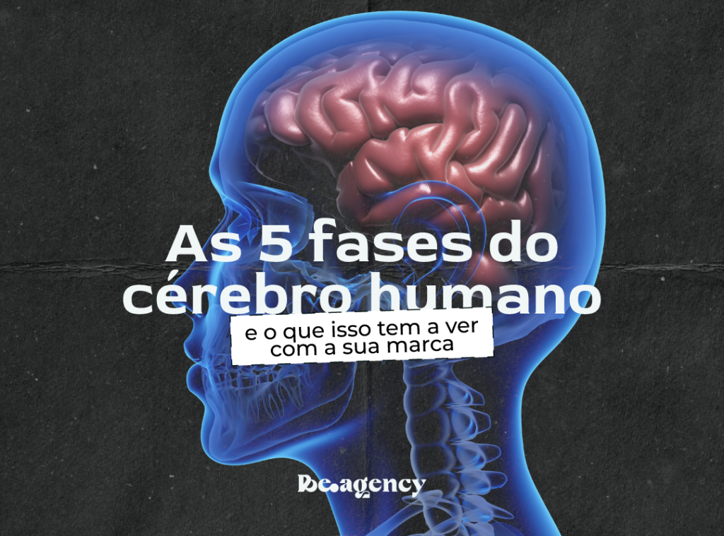 As 5 fases do cérebro humano e branding.
